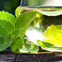 Água com hortelã: refresca e faz bem à saúde